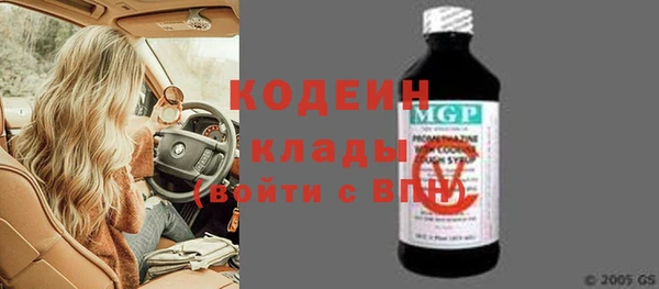 дурь Сатка