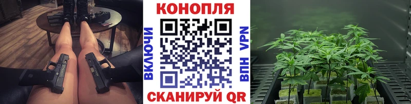наркота  Костомукша  Каннабис сатива 